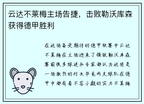 云达不莱梅主场告捷，击败勒沃库森获得德甲胜利